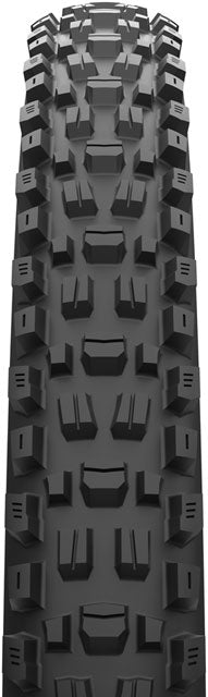 Maxxis Assegai Tire - 29 x 2.5 - Tubeless - 3C MaxxTerra - EXO+ - Wide Trail